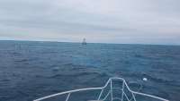 Great day of scuba diving in Key Largo with Rainbow Reef on eagle ray alley tropical adventure 2017 10 25 r4863 1