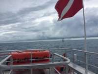 Great day of scuba diving in Key Largo with Rainbow Reef on eagle ray alley tropical legend 2017 10 18 r4831 1