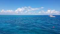 Great day of scuba diving in Key Largo with Rainbow Reef on eagle ray alley tropical legend 2017 10 19 r4839 1