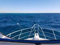 Great day of scuba diving in Key Largo with Rainbow Reef on molasses reef tropical adventure 2017 10 26 r4865 1