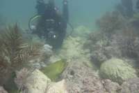 Great day of scuba diving in Key Largo with Rainbow Reef on pickle barrel wreck tropical adventure 2017 10 27 r4870 1
