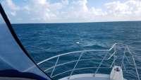 Great day of scuba diving in Key Largo with Rainbow Reef on spiegel grove tropical adventure 2017 10 11 r4800 1