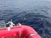 Great day of scuba diving in Key Largo with Rainbow Reef on spiegel grove tropical odyssey 2017 10 01 r4768 1