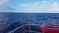 Great day of scuba diving in Key Largo with Rainbow Reef on spiegel grove tropical odyssey 2017 10 02 r4774 1