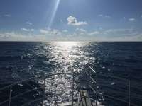 Great day of scuba diving in Key Largo with Rainbow Reef on spiegel grove tropical odyssey 2017 10 14 r4811 1