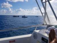 Great day of scuba diving in Key Largo with Rainbow Reef on spiegel grove tropical odyssey 2017 10 17 r4828 1