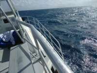 Great day of scuba diving in Key Largo with Rainbow Reef on spiegel grove tropical odyssey 2017 10 21 r4854 1