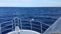 Great day of scuba diving in Key Largo with Rainbow Reef on spiegel grove tropical odyssey 2017 10 31 r4881 1