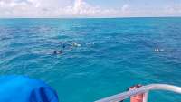 Great day of scuba diving in Key Largo with Rainbow Reef on the horseshoe tropical odyssey 2017 10 15 r4820 1