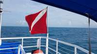 Great day of scuba diving in Key Largo with Rainbow Reef on uscgc bibb tropical adventure 2017 10 07 r4781 1