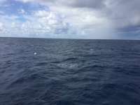 Great day of scuba diving in Key Largo with Rainbow Reef on uscgc duane tropical odyssey 2017 10 20 r4843 1