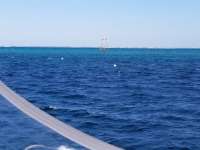 Great day of scuba diving in Key Largo with Rainbow Reef on winch hole tropical legend 2017 10 31 r4880 1