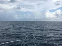 Great day of scuba diving in Key Largo with Rainbow Reef on benwood wreck tropical adventure 2017 09 23 r4741 1