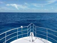 Great day of scuba diving in Key Largo with Rainbow Reef on drift french tropical odyssey 2017 09 01 r4718 1