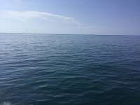 Great day of scuba diving in Key Largo with Rainbow Reef on drift molasses tropical odyssey 2017 09 25 r4748 1