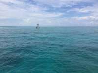 Great day of scuba diving in Key Largo with Rainbow Reef on eagle ray alley tropical odyssey 2017 09 27 r4753 1