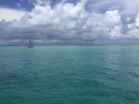Great day of scuba diving in Key Largo with Rainbow Reef on molasses reef tropical odyssey 2017 09 22 r4740 1