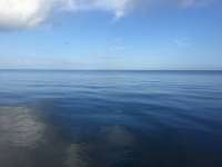 Great day of scuba diving in Key Largo with Rainbow Reef on spiegel grove tropical adventure 2017 09 24 r4745 1