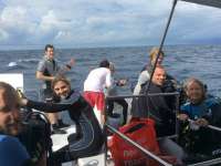 Great day of scuba diving in Key Largo with Rainbow Reef on spiegel grove tropical explorer 2017 09 28 r4758 1