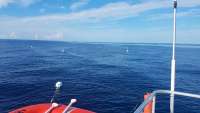 Great day of scuba diving in Key Largo with Rainbow Reef on spiegel grove tropical odyssey 2017 09 28 r4755 1