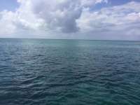 Great day of scuba diving in Key Largo with Rainbow Reef on the horseshoe tropical odyssey 2017 09 24 r4747 1