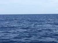Great day of scuba diving in Key Largo with Rainbow Reef on uscgc bibb tropical explorer 2017 09 03 r4729 1