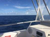 Great day of scuba diving in Key Largo with Rainbow Reef on uscgc duane tropical odyssey 2017 09 04 r4733 1