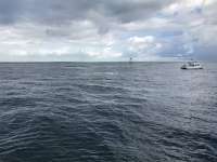 Great day of scuba diving in Key Largo with Rainbow Reef on winch hole tropical legend 2017 09 23 r4743 3