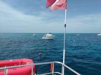 Great day of scuba diving in Key Largo with Rainbow Reef on winch hole tropical odyssey 2017 09 02 r4723 1