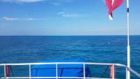 Great day of scuba diving in Key Largo with Rainbow Reef on benwood wreck tropical odyssey 2018 04 21 r5843 1