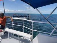 Great day of scuba diving in Key Largo with Rainbow Reef on christ statue tropical adventure 2018 04 02 r5728 1