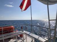Great day of scuba diving in Key Largo with Rainbow Reef on christmastree cave tropical legend 2018 04 24 r5864 1