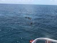 Great day of scuba diving in Key Largo with Rainbow Reef on christmastree cave tropical odyssey 2018 04 06 r5759 1