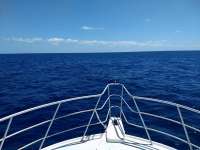 Great day of scuba diving in Key Largo with Rainbow Reef on conch wall tropical adventure 2018 04 25 r5873 1