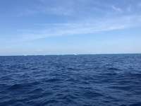 Great day of scuba diving in Key Largo with Rainbow Reef on conch wall tropical explorer 2018 04 08 r5774 1