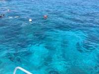 Great day of scuba diving in Key Largo with Rainbow Reef on eagle ray alley tropical adventure 2018 04 29 r5899 1