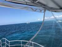 Great day of scuba diving in Key Largo with Rainbow Reef on eagle ray alley tropical legend 2018 04 24 r5866 1
