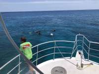 Great day of scuba diving in Key Largo with Rainbow Reef on eagle ray alley tropical legend 2018 04 25 r5872 1