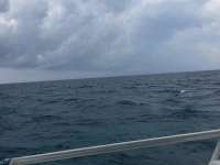 Great day of scuba diving in Key Largo with Rainbow Reef on eagle ray alley tropical legend 2018 04 27 r5883 1