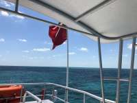 Great day of scuba diving in Key Largo with Rainbow Reef on eagle ray alley tropical legend 2018 04 30 r5904 1