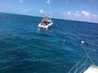 Great day of scuba diving in Key Largo with Rainbow Reef on eagle ray alley tropical voyager 2018 04 06 r5760 1