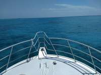 Great day of scuba diving in Key Largo with Rainbow Reef on french reef tropical odyssey 2018 04 20 r5842 1