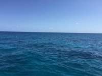 Great day of scuba diving in Key Largo with Rainbow Reef on french twist tropical legend 2018 04 13 r5800 1