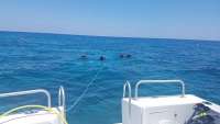Great day of scuba diving in Key Largo with Rainbow Reef on hole in the wall tropical explorer 2018 04 28 r5889 1