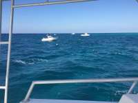 Great day of scuba diving in Key Largo with Rainbow Reef on molasses reef tropical legend 2018 04 28 r5887 1