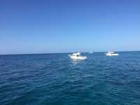 Great day of scuba diving in Key Largo with Rainbow Reef on molasses reef tropical voyager 2018 04 14 r5803 1