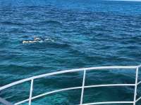 Great day of scuba diving in Key Largo with Rainbow Reef on north dry rocks tropical odyssey 2018 04 18 r5828 1