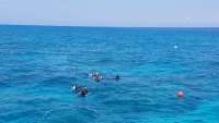 Great day of scuba diving in Key Largo with Rainbow Reef on north star tropical odyssey 2018 04 24 r5868 1