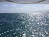 Great day of scuba diving in Key Largo with Rainbow Reef on permit ledges tropical legend 2018 04 12 r5794 1