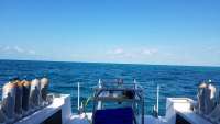 Great day of scuba diving in Key Largo with Rainbow Reef on pickles reef tropical legend 2018 04 06 r5758 1